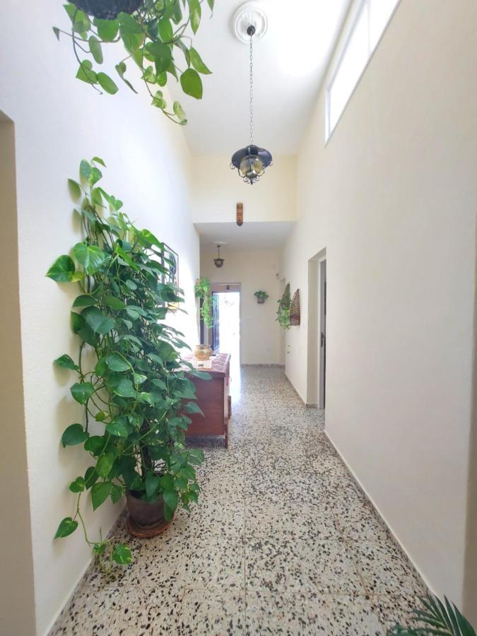 Villa Udilla อาโรนา ภายนอก รูปภาพ